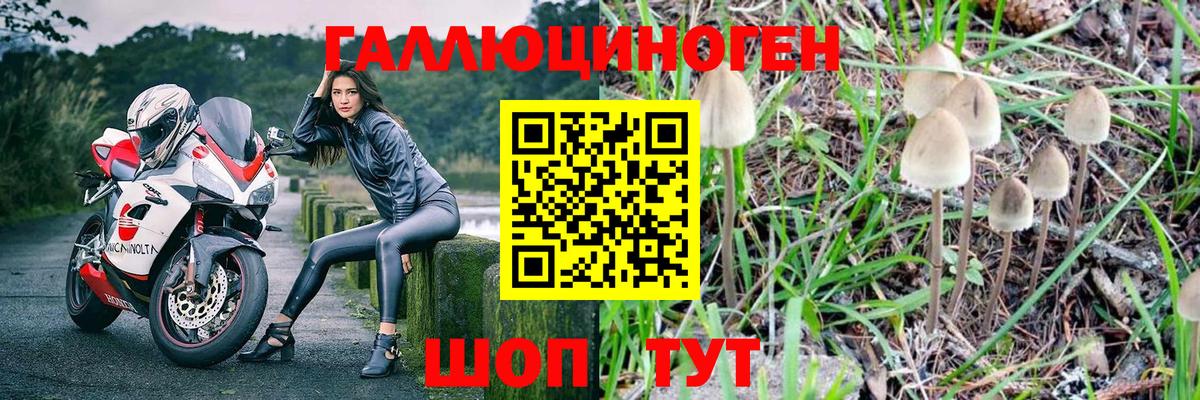 Псилоцибиновые грибы ЛСД Котельники